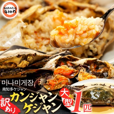 訳あり カンジャンケジャン 大型(約350g以上) オス1匹