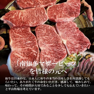 【数量限定】牛肉 切り落とし 400g×2P 800g  (4人前) 南知多マザービーフ  経産牛