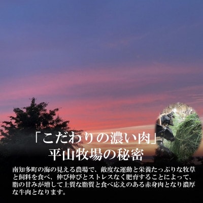 【数量限定】牛肉 切り落とし 400g×2P 800g  (4人前) 南知多マザービーフ  経産牛