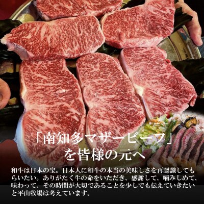 【数量限定】牛肉 サーロインステーキ 170g×4枚 南知多マザービーフ 国産牛