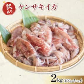 訳あり アカイカ 約2kg(400gx5パック)不揃い 冷凍 刺身 セリから小分直送!