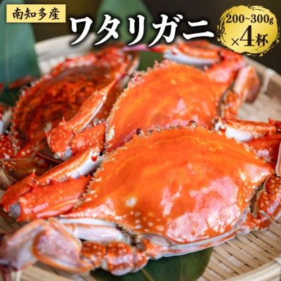 【数量限定】魚太郎のボイルワタリガニ4杯 ボイル前:1匹200g～300g 冷凍