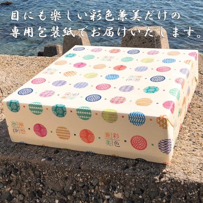 箱入り　お歳暮　えびせんべい　彩色兼美 24袋入 贈答用海老せんべいの詰合せ