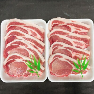 知多フレッシュポーク ロース テキカツ(計8枚 100g×4枚×2P)愛知県南知多町産