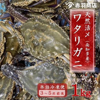 南知多町産 活〆渡り蟹  雄雌無選別 約1kg 200～400g×3匹～5匹 氷〆 レシピ付き