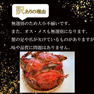 【訳あり】南知多町産 茹でワタリガニ 約1kg 前後 200～400g×3匹～5匹 冷凍便