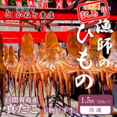 訳あり たこ 干物 1.5匹 約250g 日間賀島産真蛸の半生干物!旨味を凝縮しているから美味しい!