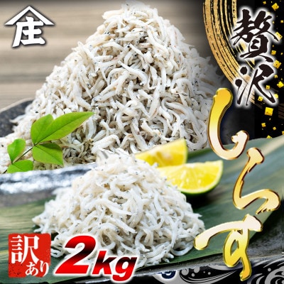 訳ありしらす干し 2kg (1kg×2箱) 冷凍 減塩 南知多町師崎 山庄水産