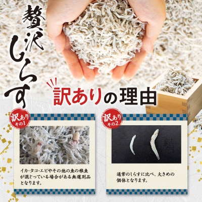 訳ありしらす干し 2kg (1kg×2箱) 冷凍 減塩 南知多町師崎 山庄水産