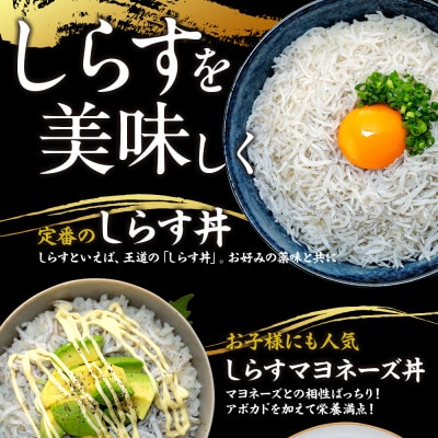 訳ありしらす干し 2kg (1kg×2箱) 冷凍 減塩 南知多町師崎 山庄水産