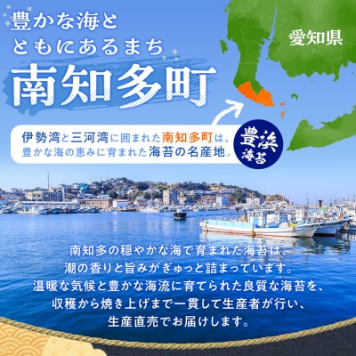 焼き海苔 計100枚 (10枚入り × 10セット) 小分け 南知多町産