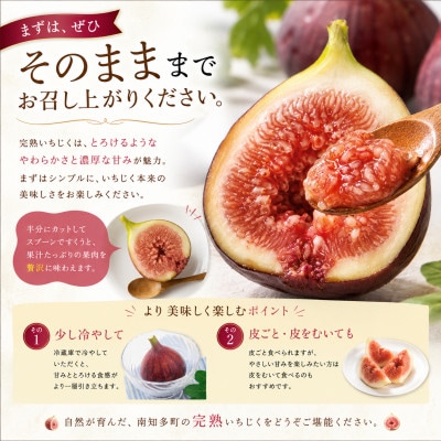 【2026年産】愛知県南知多町産　訳あり いちじく 約350g×4パック 計約1.4kg