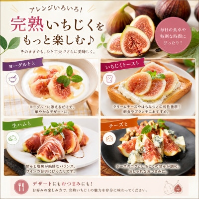【2026年産】愛知県南知多町産　訳あり いちじく 約350g×4パック 計約1.4kg
