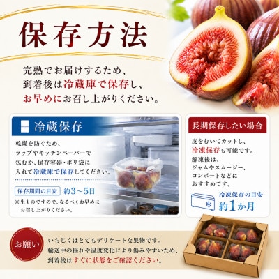 【2026年産】愛知県南知多町産　訳あり いちじく 約350g×4パック 計約1.4kg