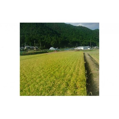 那賀町相生産ヒノヒカリ白米5kg