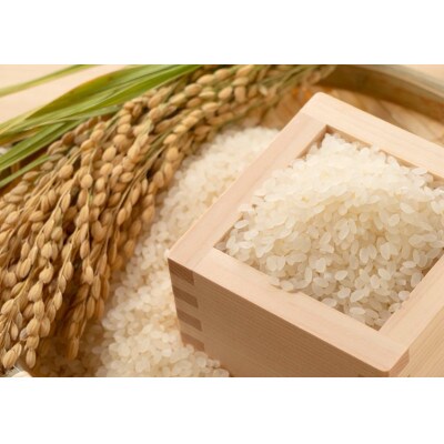 那賀町相生産キヌヒカリ白米10kg