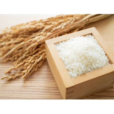 那賀町相生産キヌヒカリ玄米10kg