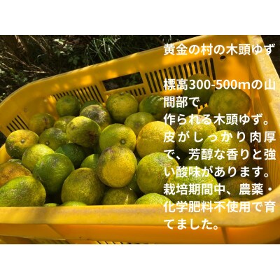 【10月末頃より随時発送】栽培期間中農薬・化学肥料不使用栽培の木頭柚子(黄玉)3kg (約30個)