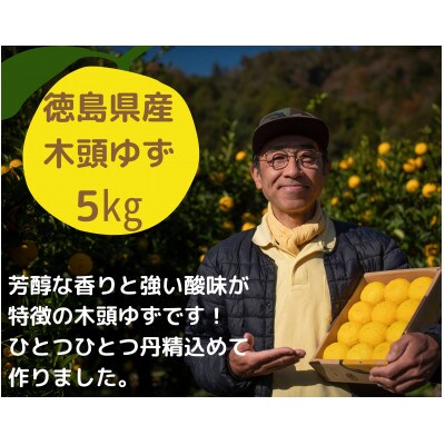 【10月末頃より随時発送】栽培期間中農薬・化学肥料不使用栽培の木頭柚子(黄玉) 5kg (約50個)