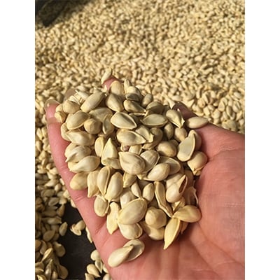 徳島県那賀町産 栽培期間中農薬化学肥料不使用 ゆず種100%化粧用オイル 30mL