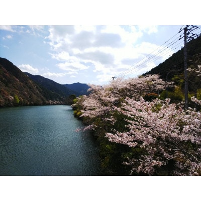 もみじ川温泉ペア入浴券