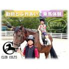 観光乗馬クラブコルツ　可愛い動物たちとふれあい&乗馬体験チケット(1名)
