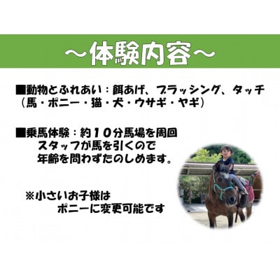 観光乗馬クラブコルツ　可愛い動物たちとふれあい&乗馬体験チケット(1名)