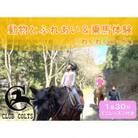 動物とふれあい&乗馬体験～馬に乗って林道散歩(外乗)～『わくわくコース』1名(ミニレッスン付き)