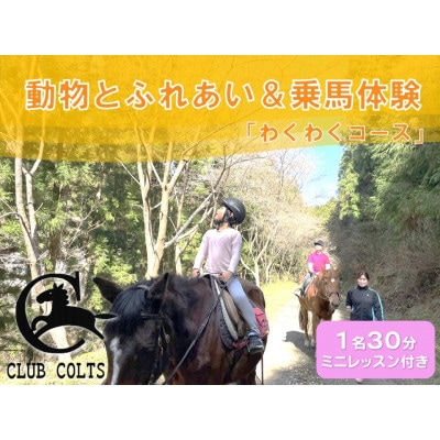 動物とふれあい&乗馬体験～馬に乗って林道散歩(外乗)～『わくわくコース』1名(ミニレッスン付き)