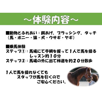 動物とふれあい&乗馬体験～馬に乗って林道散歩(外乗)～『わくわくコース』1名(ミニレッスン付き)