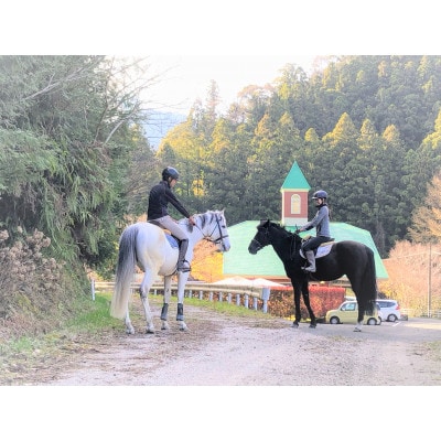 動物とふれあい&乗馬体験～馬に乗って林道散歩(外乗)～『わくわくコース』1名(ミニレッスン付き)