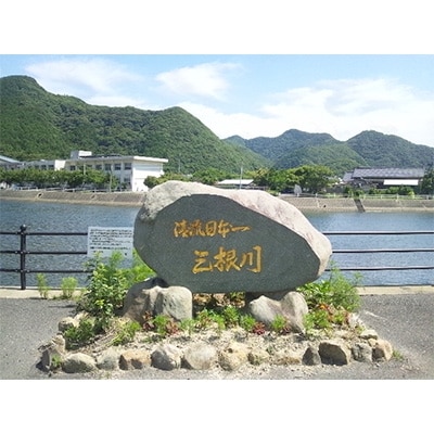 【令和7年産】先行受付長崎県対馬産「ほたる舞う三根川の米」なつほのか　白米(5kg×2)