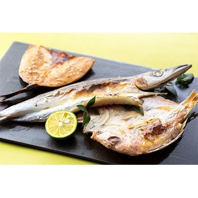 対馬一汐干しお魚セット　2箱