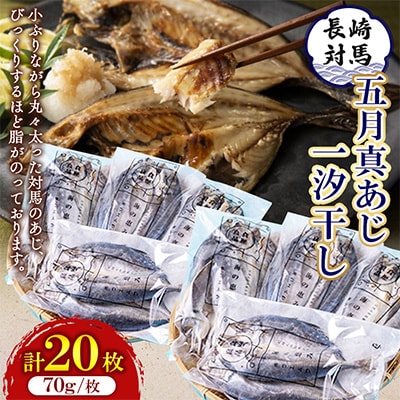 対馬五月真あじ一汐干し 2箱(各10枚)計20枚