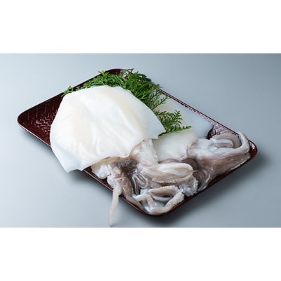 【対馬産】 水イカ(アオリイカ)生冷凍1kg