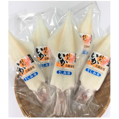 【長崎県対馬産】剣先イカ5本セット