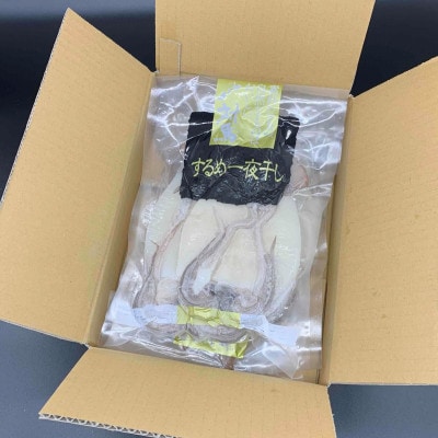 するめいか 一夜干しセット