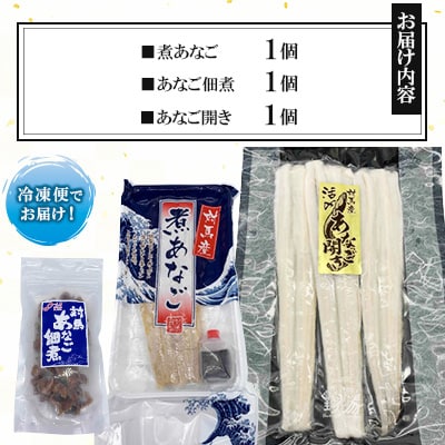 対馬産 活〆 あなごセット