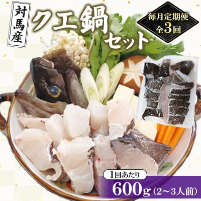 【毎月定期便】対馬産クエ鍋セット600g(2～3人前)全3回
