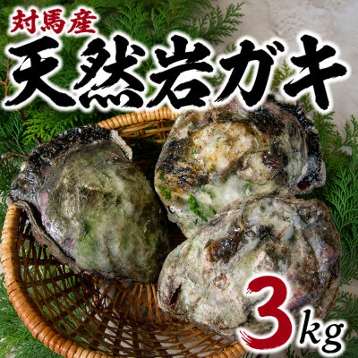 天然岩ガキ3kg