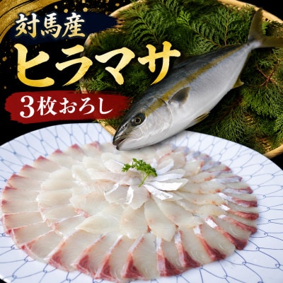 対馬ヒラマサ3枚卸