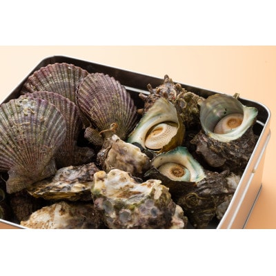対馬蒸し缶セット(さざえ400g・ヒオウギ貝800g・カキ800g)
