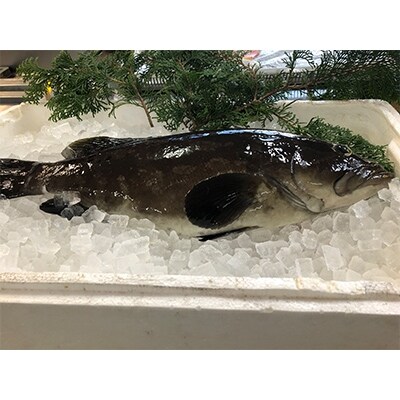 クエと対馬のお野菜 対馬じゃアラ鍋セット 3 4人前 お礼品詳細 ふるさと納税なら さとふる