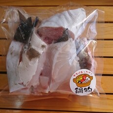 対馬産　天然高級魚クエ400g | ふるさと納税のお礼品