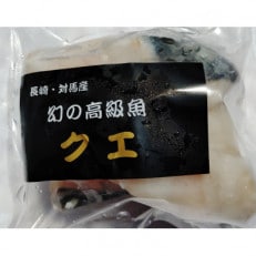 対馬産　幻の高級魚クエ400g | ふるさと納税のお礼品