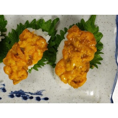 対馬産塩うに60g