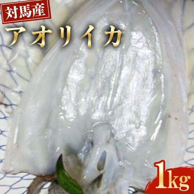 対馬産アオリイカ1kg