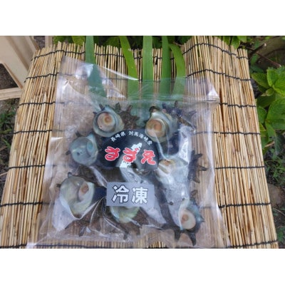 【対馬産】 天然冷凍サザエ(2kg)