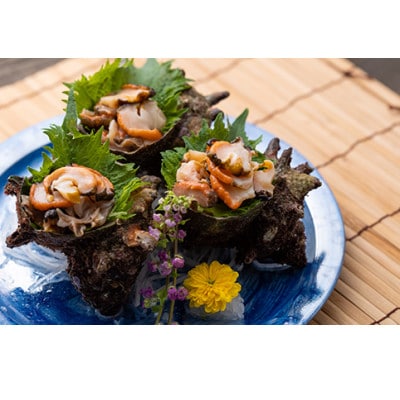 【対馬産】 天然冷凍サザエ(2kg)