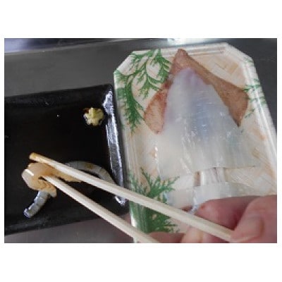 対馬剣先イカ姿造り　約120g×3パック